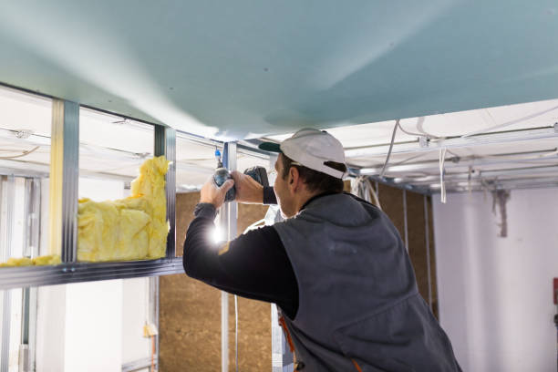 Best Geographic-Specific Insulation Services in West Liberty, OH