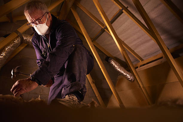 Best Specialized Insulation Services in West Liberty, OH